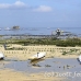 farming_seaweed_nlem_h_0722_bal4019.jpg